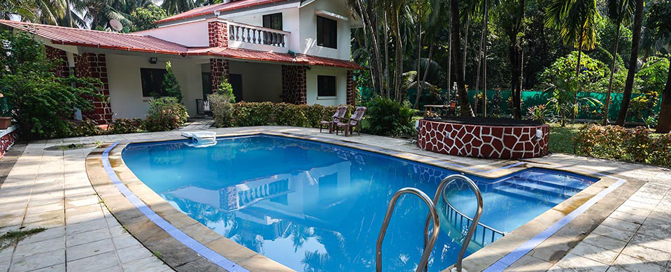 Call : +91 9136961917