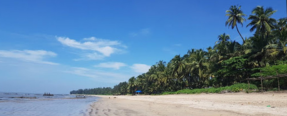 Call : +91 9136961917